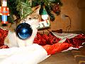 2004-12 noël 026